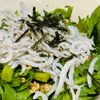 あなぼんごはんの作ってみた!投稿(春菊がもりもり食べれる!「しらすと春菊の塩だれサラダ」)