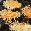 サクッとやみつき!えのきの揚げ焼き【簡単おつまみ】の工程2