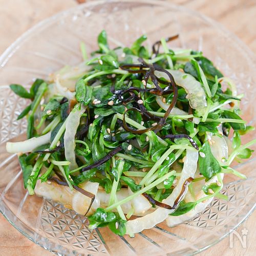 切って和えるだけ!豆苗と新玉ねぎの塩こんぶサラダ