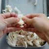 鶏の旨みが染みる鹿児島の郷土料理【鶏飯】の工程2