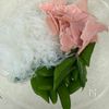 にんにくおかかマヨ《スナップエンドウの春雨サラダ》の工程1