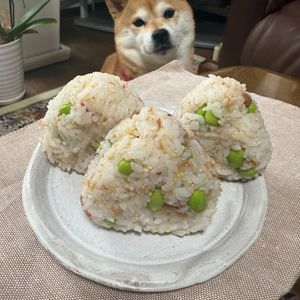 レイチーの作ってみた!投稿(枝豆と梅のほっこりおにぎり)