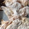 コスパ最強！鶏むね肉で♪【ザクザクフライドチキン】の工程4
