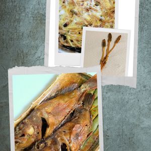 ゆみの作ってみた!投稿(【ほご（カサゴ）の煮つけ】意外と簡単！時短！美味しい煮つけ。)
