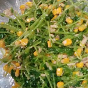 鶏皮坊主の作ってみた!投稿(豆苗とツナのコールスロー風サラダ♩豆苗で栄養満点💯経済的)