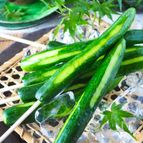 【暑い日に簡単おつまみ】冷やしきゅうりの一本漬け