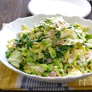 旬を味わう♪春キャベツのサラダまとめ