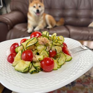 レイチーの作ってみた!投稿(副菜にオススメ！トマトとズッキーニのやみつき和え)
