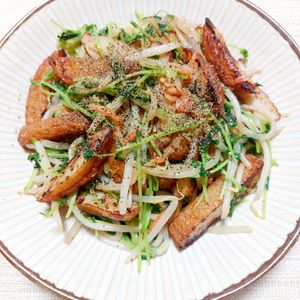 よっこの作ってみた!投稿(節約&5分!豆苗ともやしのスピード炒め)
