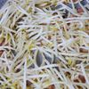 爆速!もやしとほうれん草のベーコン炒めの工程2