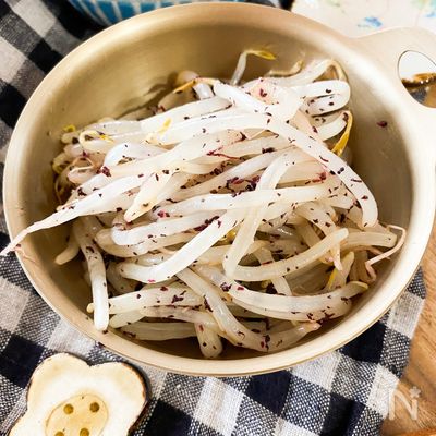 もやしのゆかり和え【お弁当の名脇役】
