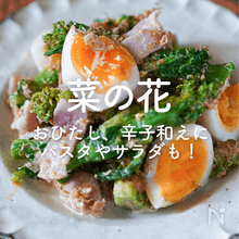 菜の花の人気レシピ20選｜おひたし、辛子和えにパスタやサラダも！