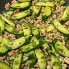 大葉香る♪豚ひき肉ときゅうりのしそ味噌炒めの工程5