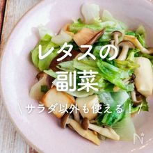 「レタスの副菜」30選｜サラダ以外も使える！