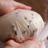 フライパンで簡単!お豆腐米粉のミニレーズンパン【発酵不要】の工程3