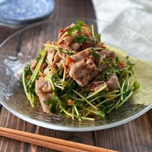 【豆苗と豚しゃぶの旨辛胡麻ドレ和え】