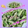 サトちゃんの作ってみた!投稿(【キャベツときゅうりとツナのレンジ蒸しサラダ】塩レモン風味)