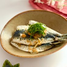 さっぱり♡いわしの梅生姜煮【簡単・ヘルシー】
