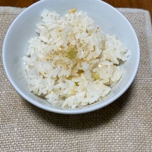 つくし🍄‍🟫の作ってみた!投稿(ふきごはん。)