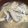 月雪由翔の作ってみた!投稿(旨味と甘み！出汁が美味しい♡『きのこのかきたま汁』)