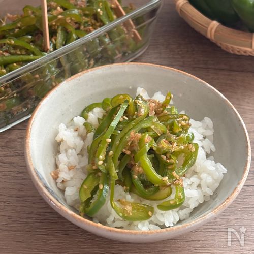 切って炒めるだけ!ごはん泥棒!【無限ピーマン】