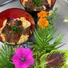 そら・ゆずの作ってみた!投稿(スーパーのうなぎを【美味しく温める方法】)