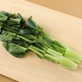 小松菜の下処理と切り方