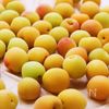 お手軽に白梅干しの工程1