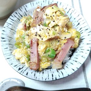 M＊Pの作ってみた!投稿(とろとろ！白ネギとベーコンエッグごはん)