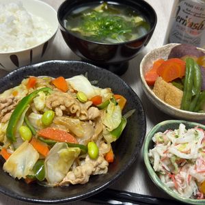 みーこの作ってみた!投稿(【ごちそう肉野菜炒め】旨すぎ!ご飯が進む人気の味付け♡)