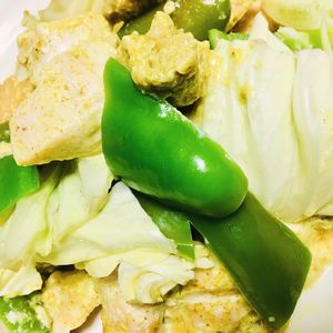 YOKO.TNKの作ってみた!投稿(鶏のカレーマヨ焼き♩1Step！洗い物1つ！ズボラ！ワンパン)