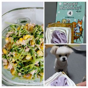 ゆみの作ってみた!投稿(豆苗とツナのコールスロー風サラダ♩豆苗で栄養満点💯経済的)