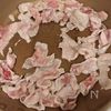 ブロッコリーと豚肉の黒ごまゆずこしょう炒めの工程2