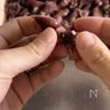 ほたるいかのフリット (下処理方法付き)の工程1