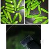 止まらない美味しさ!ししとうの焼き浸しの工程1