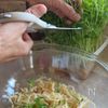 サクサク油揚げ入り！切り干し大根と豆苗のサラダの工程3