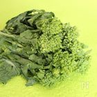 【春野菜】菜の花の栄養とおすすめレシピ