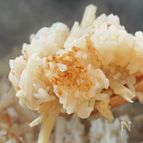 炊飯器で簡単なのに本格的！たけのこごはん