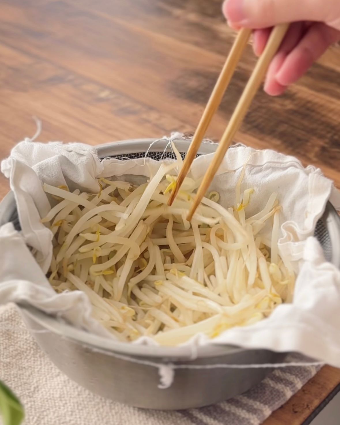 もやし 楽天市場】深谷もやし 1050g（350g x 3パック） 闘うもやし【飯塚商店