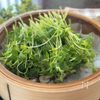 豆腐で簡単【鶏肉と豆苗のクリーミーサラダ】の工程5