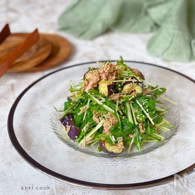 なすと水菜のサラダ