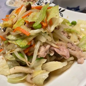 すみれの作ってみた!投稿(お弁当屋さんの肉野菜炒め【#ほっと◯っと風 #野菜たっぷり】)