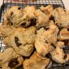 ぐ〜たら子の作ってみた!投稿(簡単!混ぜて焼くだけ!【チョコスコーン】)