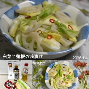 クラ蔵の作ってみた!投稿(［白菜と蓮根の浅漬け］白だし＋みりんで簡単！即席おつけもの)
