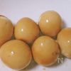 3分ですぐ食べられる煮卵 （味玉）の工程3