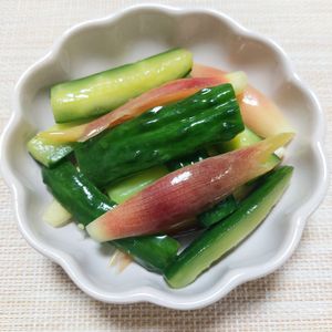 よっこの作ってみた!投稿(『少ない調味料で出来る♪』きゅうりとみょうがのさっぱり浅漬け)