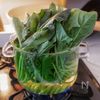 鶏むね肉とほうれん草のコーンバター煮｜バター香る濃厚スープの工程1