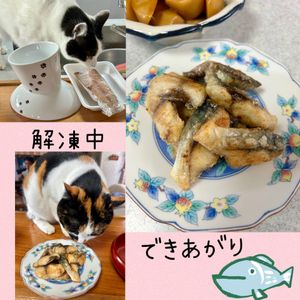 のりのり🐾🎀🤍の作ってみた!投稿(簡単節約☆冷凍サバの揚げない塩唐揚げ。)