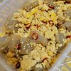 ヴェルの作ってみた!投稿(包丁なしで超速攻！鶏ひき肉とこんにゃくのご飯進む胡麻だく甘辛)