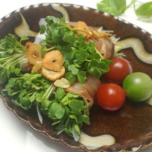 とのちゃまの作ってみた!投稿(カイワレとねぎの♪豚バラ巻きおつまみサラダ🐖)